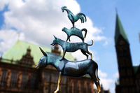 02022012_11421640_200.jpg