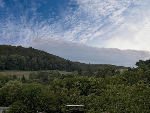 Am Fenster - 