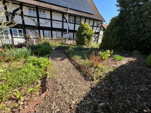 rückwärtiger Garten - 