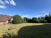 Garten mit grünem Sichtschutz - 
