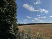 Blick zum Wohldenberg - 