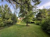 Garten mit altem Baumbestand - 