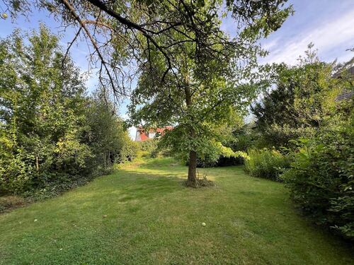 Garten mit altem Baumbestand - 
