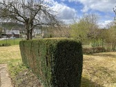 Grundstück - Einfamilienhaus mit 140,00 m&sup2; in Alfeld zum Kaufen