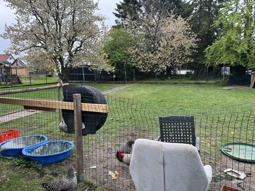 Garten - 