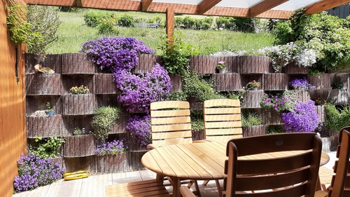 Sommerimpressionen - 