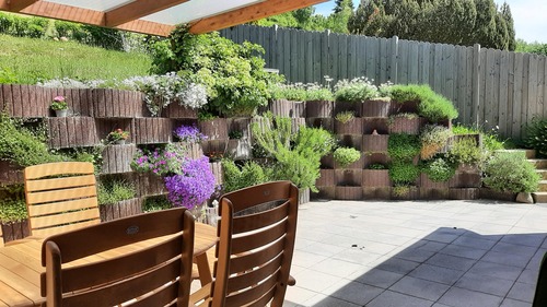 Sommerimpressionen - 