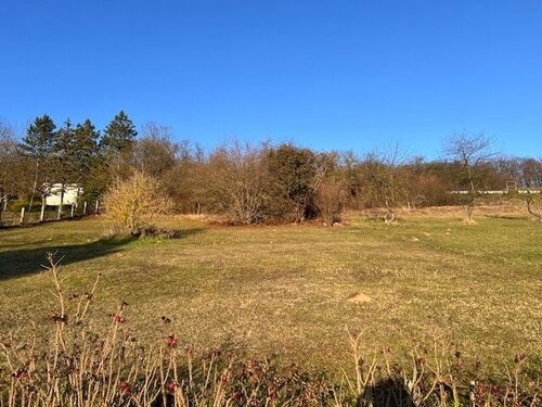 Großes Grundstück zum Spielen und Verweilen - 