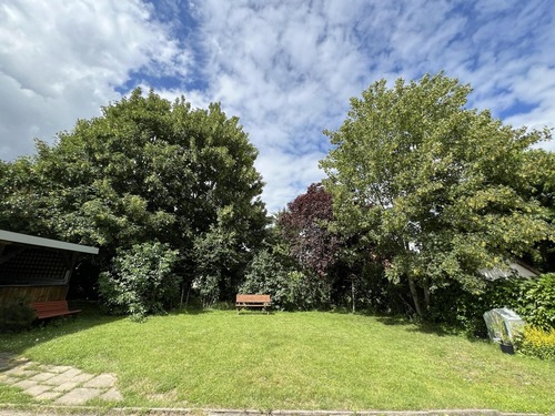 Gemeinschaftsgarten - 