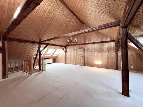 Sehr großes Studio für viele Möglichkeiten - 