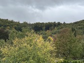 Aussicht vom Balkon - 