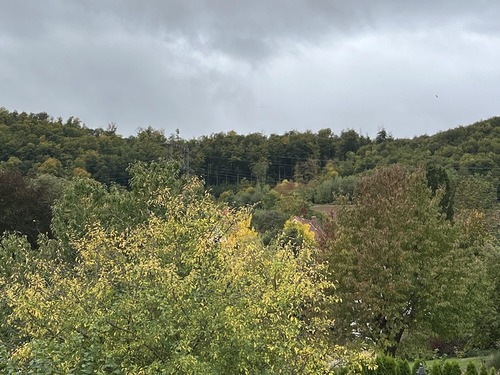 Aussicht vom Balkon - 