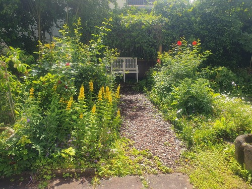 weitere Teilansicht Garten - 
