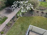 Garten / Terrasse - 