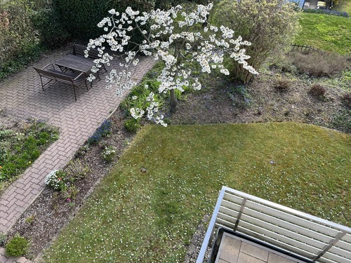 Garten / Terrasse - 