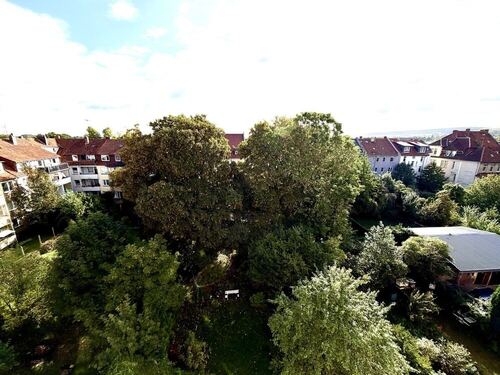 ... in die Hinterhöfe ... - 