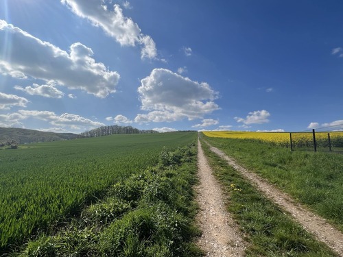 Blick ins Feld vom Grundstück - Grundstück in Bad Salzdetfurth zum Kaufen