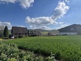 Blick vom Feldweg aufs Grundstück - 