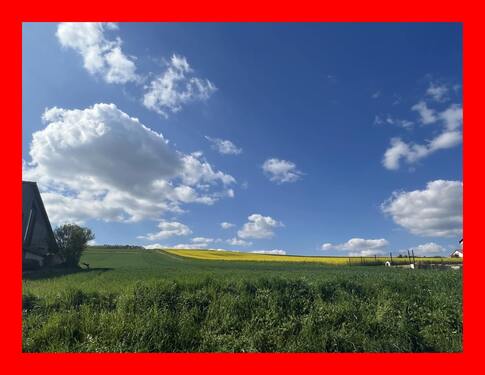 Blick von der Straße - Willkommen in Detfurth - 250.000,00&nbsp;EUR Kaufpreis, ca.&nbsp; 801,00&nbsp;m&sup2;