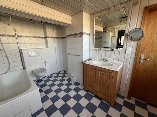 Tageslichtbad im OG - 