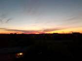 Der Sonne entgegen...... - 