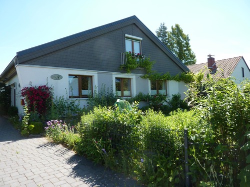 Sicht von der Straße im Sommer - 