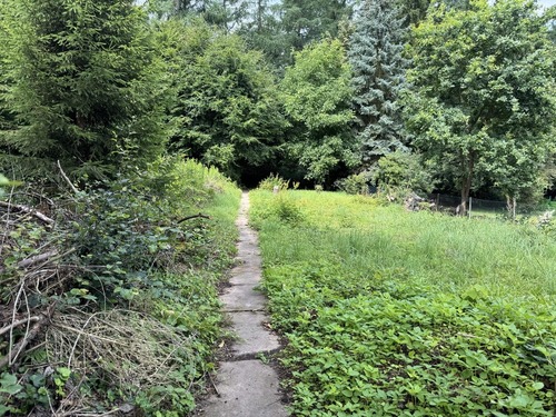 Naturbelassenes Grundstück - 