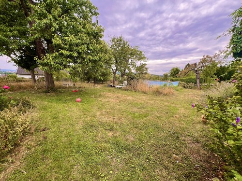 Eindrücke vom Grundstück - 