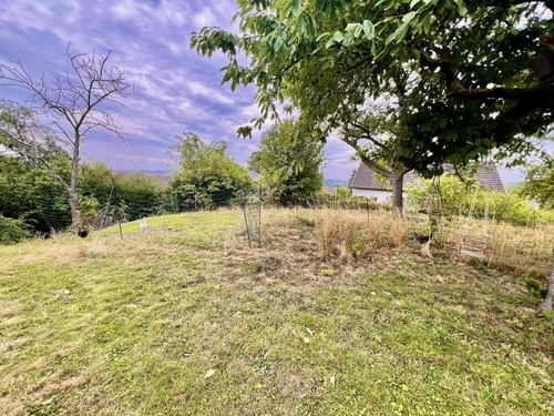 Eindrücke vom Grundstück - 