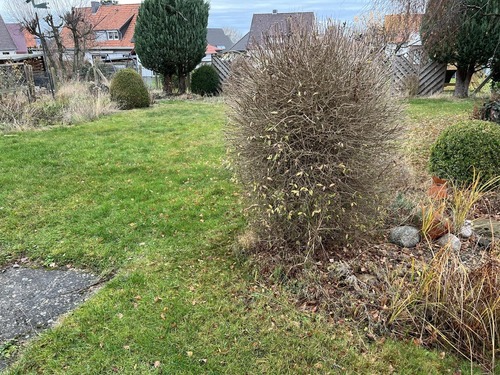 Garten - Einfamilienhaus mit 110,00 m&sup2; in Eime zum Kaufen