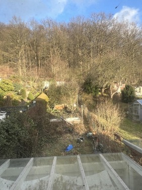 Blick in den Gartenbereich - 