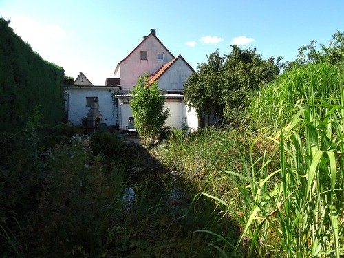 Gartenansicht - 