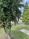 Blick vom Balkon - 