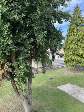 Blick vom Balkon - 
