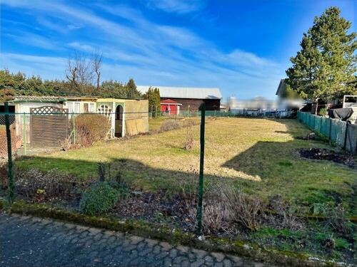 Blick in den großen Garten - 