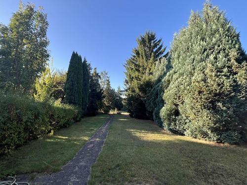 Blick in den Garten - Mehrfamilienhaus, Wohnhaus mit 200,00 m&sup2; in Hildesheim zum Kaufen