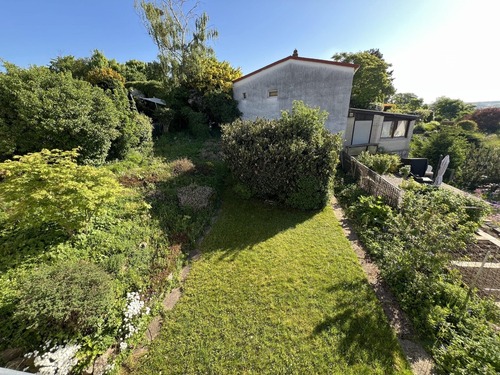 Ausblick in den Garten - 