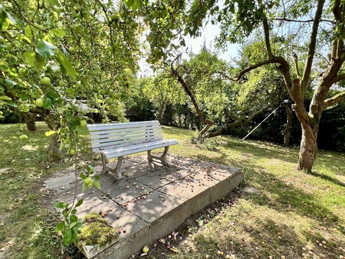 Mitten in der Obstwiese - 