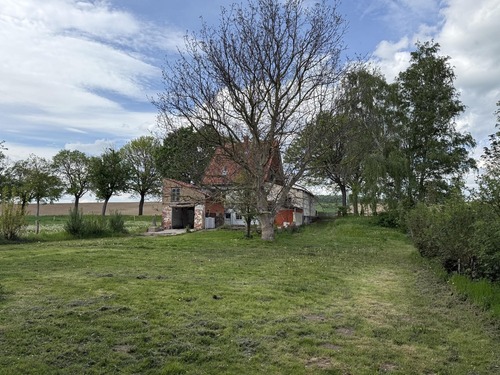 Garten mit Blick auf das Haus - 