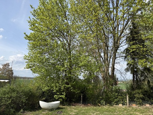 Feldrandlage mit Weitblick - 