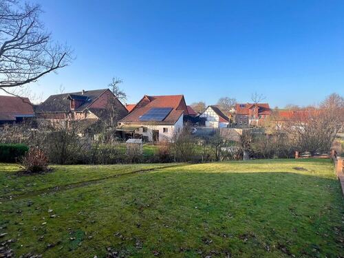 Großer Gartenbereich - 