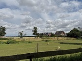 Ausblick - 
