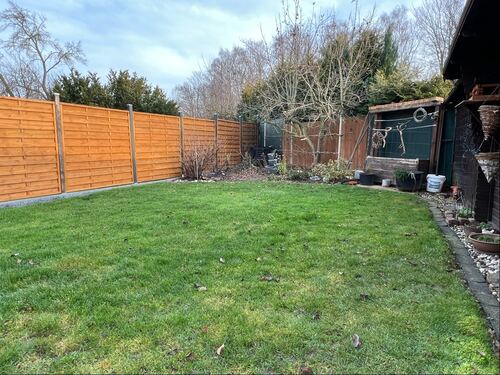 pflegeleichter Garten - 