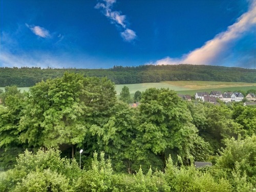 Blick aus Wohnzimmerfenster - 8 Zimmer Zweifamilienhaus in Grünenplan
