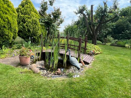 Gartenteich - 