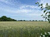 Ortsrandlage mit Blick über Felder - 