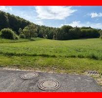 Baugebiet im Dornröschenschlaf - 125.000,00&nbsp;EUR Kaufpreis, ca.&nbsp; 26.776,00&nbsp;m&sup2; in Sibbesse (PLZ: 31079) Wrisbergholzen
