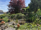 Teich - 