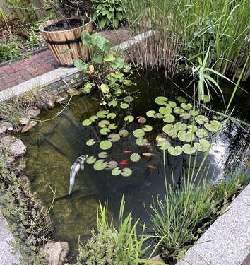 Idyllischer Fischteich - 