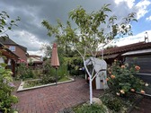 Seitlicher Blick Garten - 